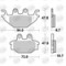 ΤΑΚΑΚΙΑ BRK-923 SM1 (FA377-P333) BRAKING ΙΤΑΛΙΑΣ-